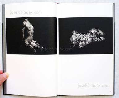 Sample page 6 for book "Mazuki, Yoko – Yoko Mazuki - a priori innerplants" Sample page 6 for book "Mazuki, Yoko – Yoko Mazuki - a priori innerplants"