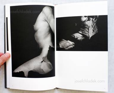 Sample page 5 for book "Mazuki, Yoko – Yoko Mazuki - a priori innerplants" Sample page 5 for book "Mazuki, Yoko – Yoko Mazuki - a priori innerplants"