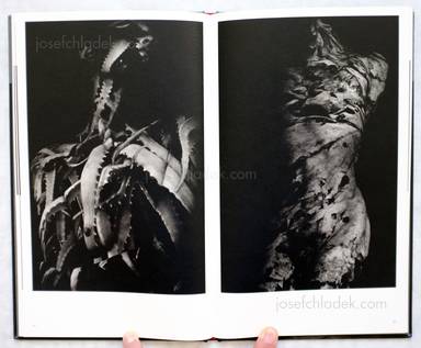 Sample page 4 for book "Mazuki, Yoko – Yoko Mazuki - a priori innerplants" Sample page 4 for book "Mazuki, Yoko – Yoko Mazuki - a priori innerplants"