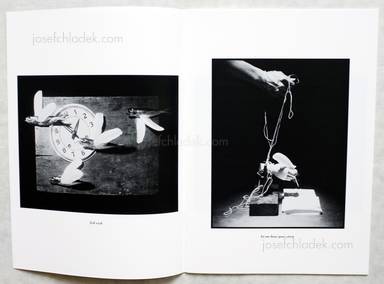 Sample page 1 for book  Yasuaki Matsumoto – alchemist's dream