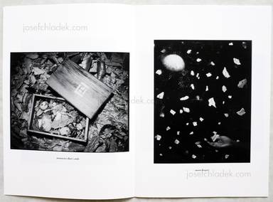Sample page 3 for book  Yasuaki Matsumoto – alchemist's dream