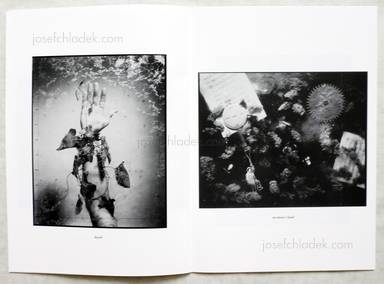 Sample page 4 for book  Yasuaki Matsumoto – alchemist's dream