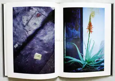 Sample page 4 for book "Nakazato, Katsuhito – Katsuhito Nakazato - Tokei 東亰" Sample page 4 for book "Nakazato, Katsuhito – Katsuhito Nakazato - Tokei 東亰"