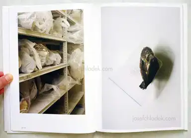 Sample page 9 for book "Huysmans, Debby – Debby Huysmans - Late Spring" Sample page 9 for book "Huysmans, Debby – Debby Huysmans - Late Spring"