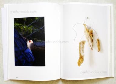 Sample page 7 for book  Debby Huysmans – Late Spring