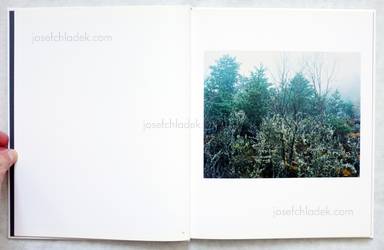 Sample page 1 for book  Hiroshi Kai – Dreams of the Blue Bear