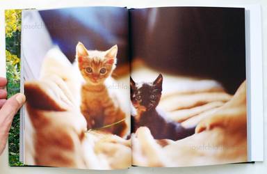 Sample page 2 for book  Tomomi Koike – Odayakana Hikari -gentle light-  / 穏やかな光