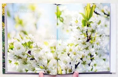 Sample page 3 for book  Tomomi Koike – Odayakana Hikari -gentle light-  / 穏やかな光
