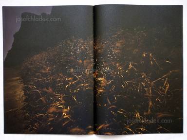 Sample page 2 for book "Nakazato, Katsuhito – Katsuhito Nakazato - Ryu-guu 龍宮" Sample page 2 for book "Nakazato, Katsuhito – Katsuhito Nakazato - Ryu-guu 龍宮"