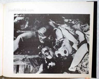 Sample page 15 for book  Ariel Pawlak &ndash; Ariel&rsquo;s Puppen Buch