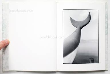 Sample page 7 for book "Shiraishi, Chieko – Chieko Shiraishi - Cactus and Tail サボテンとしっぽ" Sample page 7 for book "Shiraishi, Chieko – Chieko Shiraishi - Cactus and Tail サボテンとしっぽ"