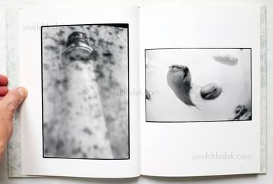 Sample page 5 for book "Shiraishi, Chieko – Chieko Shiraishi - Cactus and Tail サボテンとしっぽ" Sample page 5 for book "Shiraishi, Chieko – Chieko Shiraishi - Cactus and Tail サボテンとしっぽ"