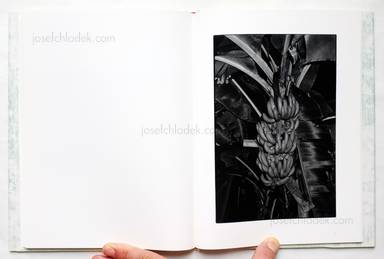 Sample page 2 for book "Shiraishi, Chieko – Chieko Shiraishi - Cactus and Tail サボテンとしっぽ" Sample page 2 for book "Shiraishi, Chieko – Chieko Shiraishi - Cactus and Tail サボテンとしっぽ"