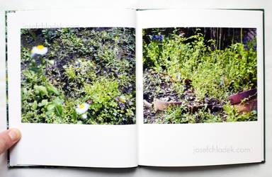 Sample page 4 for book "Kokumai, Futoshi – Futoshi Kokumai - Niwa" Sample page 4 for book "Kokumai, Futoshi – Futoshi Kokumai - Niwa"