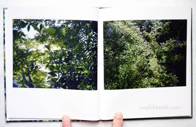 Sample page 3 for book "Kokumai, Futoshi – Futoshi Kokumai - Niwa" Sample page 3 for book "Kokumai, Futoshi – Futoshi Kokumai - Niwa"