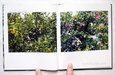 Sample page 2 for book "Kokumai, Futoshi – Futoshi Kokumai - Niwa" Sample page 2 for book "Kokumai, Futoshi – Futoshi Kokumai - Niwa"