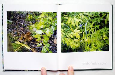 Sample page 1 for book "Kokumai, Futoshi – Futoshi Kokumai - Niwa" Sample page 1 for book "Kokumai, Futoshi – Futoshi Kokumai - Niwa"