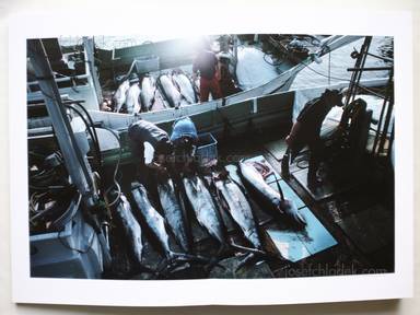 Sample page 11 for book  Yasuhiko Miyajima &ndash; The Asian monsoon アジアモンスーン