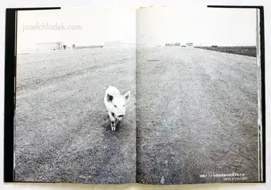 Sample page 7 for book "Hamaguchi, Takashi – Takashi Hamaguchi - The Shudders of Narita Airport / Document Ju Nen no Kiroku" Sample page 7 for book "Hamaguchi, Takashi – Takashi Hamaguchi - The Shudders of Narita Airport / Document Ju Nen no Kiroku"