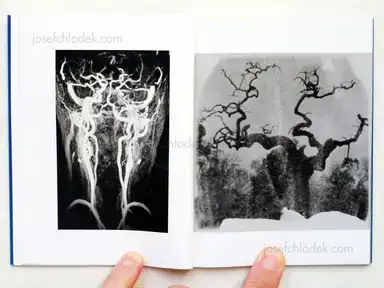 Sample page 6 for book "Murube, Tomás – Tomás Murube - Apuntes sin tiempo" Sample page 6 for book "Murube, Tomás – Tomás Murube - Apuntes sin tiempo"