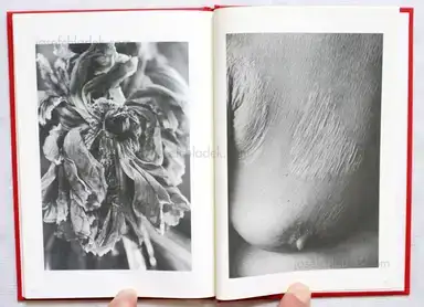 Sample page 1 for book "Ishiuchi, Miyako – Miyako Ishiuchi - Mother's ." Sample page 1 for book "Ishiuchi, Miyako – Miyako Ishiuchi - Mother's ."