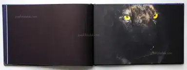 Sample page 12 for book "Trabandt, Sonja – Sonja Trabandt - Unverbunden" Sample page 12 for book "Trabandt, Sonja – Sonja Trabandt - Unverbunden"