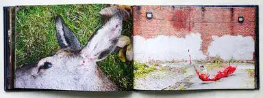 Sample page 5 for book "Trabandt, Sonja – Sonja Trabandt - Unverbunden" Sample page 5 for book "Trabandt, Sonja – Sonja Trabandt - Unverbunden"