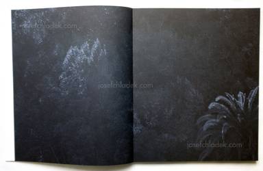 Sample page 16 for book "van der Molen, Awoiska – Awoiska van der Molen - Sequester" Sample page 16 for book "van der Molen, Awoiska – Awoiska van der Molen - Sequester"