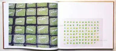 Sample page 12 for book "Jansen, Jos – Jos Jansen - Seeds - On the Origin of Food Crops" Sample page 12 for book "Jansen, Jos – Jos Jansen - Seeds - On the Origin of Food Crops"