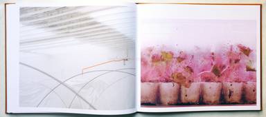 Sample page 9 for book  Jos Jansen – Seeds - On the Origin of Food Crops