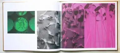 Sample page 5 for book "Jansen, Jos – Jos Jansen - Seeds - On the Origin of Food Crops" Sample page 5 for book "Jansen, Jos – Jos Jansen - Seeds - On the Origin of Food Crops"