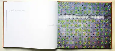 Sample page 4 for book "Jansen, Jos – Jos Jansen - Seeds - On the Origin of Food Crops" Sample page 4 for book "Jansen, Jos – Jos Jansen - Seeds - On the Origin of Food Crops"