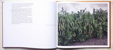 Sample page 14 for book  Jos Jansen – Seeds - On the Origin of Food Crops
