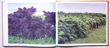 Sample page 1 for book "Jansen, Jos – Jos Jansen - Seeds - On the Origin of Food Crops" Sample page 1 for book "Jansen, Jos – Jos Jansen - Seeds - On the Origin of Food Crops"