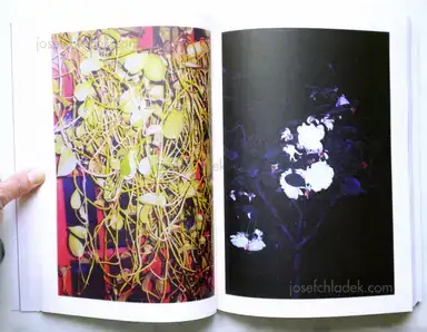 Sample page 13 for book "McElroy, Aaron – Aaron McElroy - The Devil May Care" Sample page 13 for book "McElroy, Aaron – Aaron McElroy - The Devil May Care"