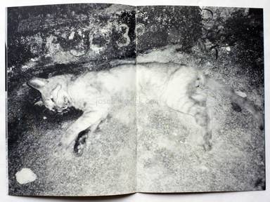 Sample page 21 for book "Van Der Weijde, Erik – Erik van der Weijde - foto.zine nr.1 #1 - #8" Sample page 21 for book "Van Der Weijde, Erik – Erik van der Weijde - foto.zine nr.1 #1 - #8"