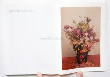 Sample page 3 for book "McElroy, Aaron – Aaron McElroy - After Wake" Sample page 3 for book "McElroy, Aaron – Aaron McElroy - After Wake"