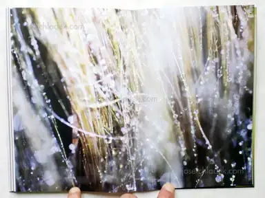 Sample page 5 for book "Lee, Sean – Sean Lee - Shauna 2007 – 2009" Sample page 5 for book "Lee, Sean – Sean Lee - Shauna 2007 – 2009"