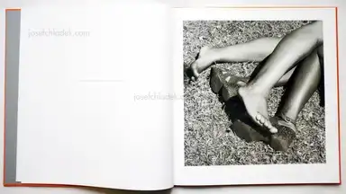 Sample page 13 for book "Goldblatt, David – David Goldblatt - Particulars" Sample page 13 for book "Goldblatt, David – David Goldblatt - Particulars"