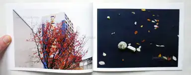 Sample page 6 for book "Sarjeant, Iain – Iain Sarjeant - Regeneration" Sample page 6 for book "Sarjeant, Iain – Iain Sarjeant - Regeneration"