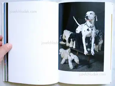 Sample page 4 for book "Peels, Wiesje – Wiesje Peels - Mimus" Sample page 4 for book "Peels, Wiesje – Wiesje Peels - Mimus"