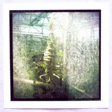 Sample page 9 for book "Artemova, Gera – Gera Artemova - botanic garden" Sample page 9 for book "Artemova, Gera – Gera Artemova - botanic garden"