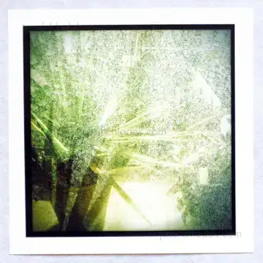 Sample page 7 for book "Artemova, Gera – Gera Artemova - botanic garden" Sample page 7 for book "Artemova, Gera – Gera Artemova - botanic garden"