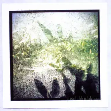 Sample page 4 for book "Artemova, Gera – Gera Artemova - botanic garden" Sample page 4 for book "Artemova, Gera – Gera Artemova - botanic garden"