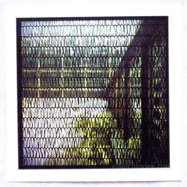 Sample page 2 for book "Artemova, Gera – Gera Artemova - botanic garden" Sample page 2 for book "Artemova, Gera – Gera Artemova - botanic garden"