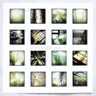 Sample page 1 for book "Artemova, Gera – Gera Artemova - botanic garden" Sample page 1 for book "Artemova, Gera – Gera Artemova - botanic garden"