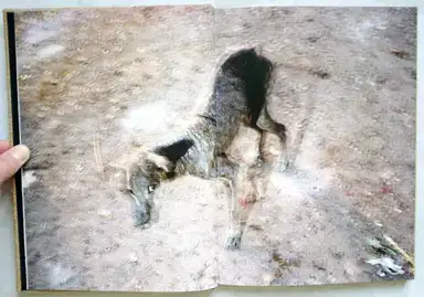 Sample page 18 for book "Champassak, Tiane Doan na – Tiane Doan na Champassak - Kolkata" Sample page 18 for book "Champassak, Tiane Doan na – Tiane Doan na Champassak - Kolkata"