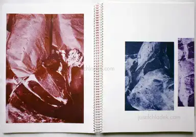 Sample page 16 for book "Schwartz, Johannes – Johannes Schwartz - Tiergarten" Sample page 16 for book "Schwartz, Johannes – Johannes Schwartz - Tiergarten"