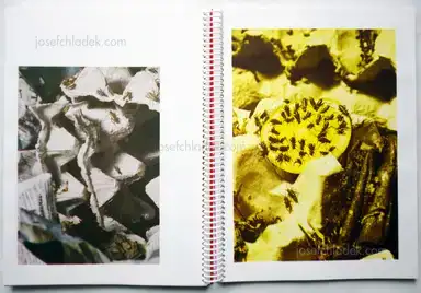 Sample page 6 for book "Schwartz, Johannes – Johannes Schwartz - Tiergarten" Sample page 6 for book "Schwartz, Johannes – Johannes Schwartz - Tiergarten"