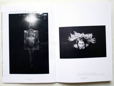Sample page 4 for book  Alain Laboile – The Family